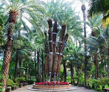 En Pleno Centro De * Elche